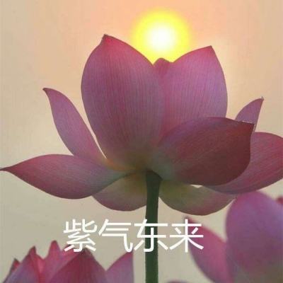 三国之争手机版(暂未上线)v1.2 官方安卓版